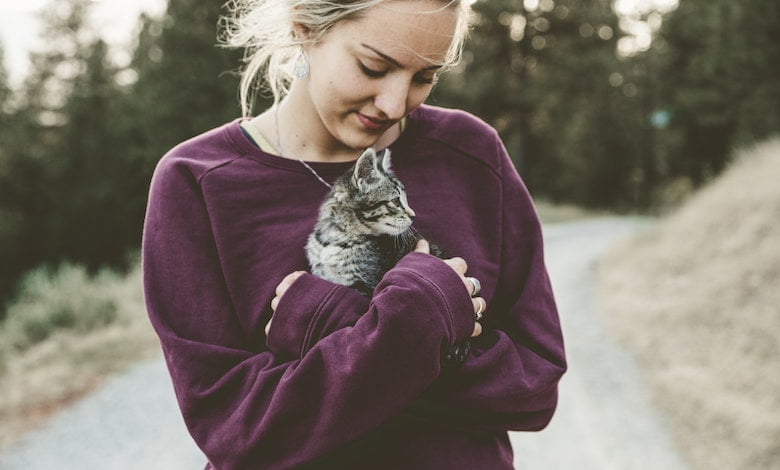  Raising Cats: A Comprehensive Guide to Feline Companionship