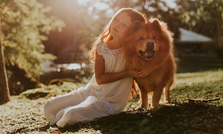 Pet Insurance Uncovered: A Complete Guide to Safeguarding Your Beloved Pets
