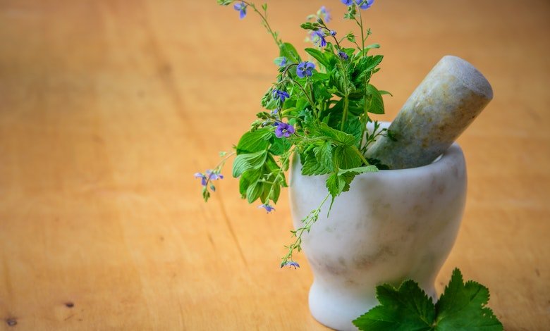 Harnessing the Healing Power of Nature: The Benefits of Herbs